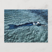 塩水人魚 ポストカード (正面)