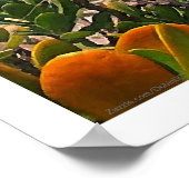 塩水硬化島と船のポスター ポスター (角)