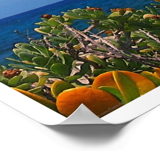 塩水硬化島ポスター ポスター (角)