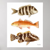 塩水遊び ポスター (正面)