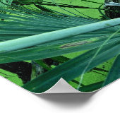 塩池の熱帯植物 ポスター (角)