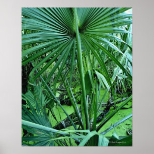 塩池の熱帯植物 ポスター