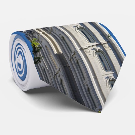 塩湖の寺院の昼間 ネクタイ (ロール)