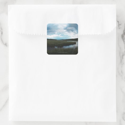 塩湿地 スクエアシール (バッグ)