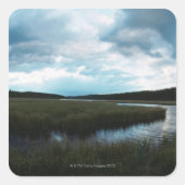 塩湿地 スクエアシール (正面)