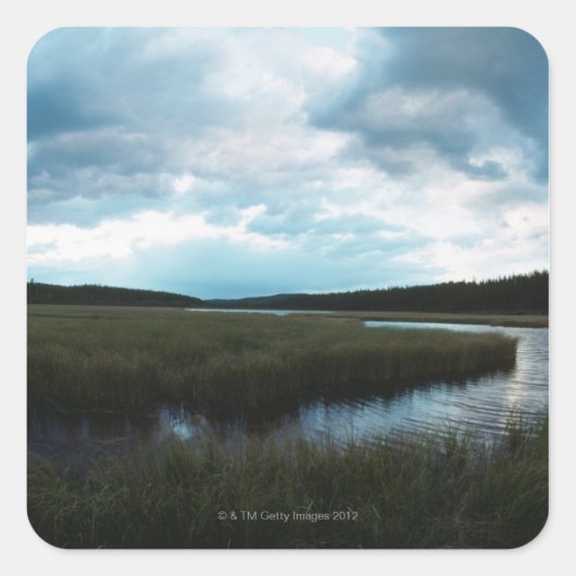 塩湿地 スクエアシール (正面)