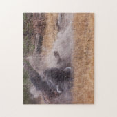 塵のBathtingのアメリカ野牛のBullの野性生物のパズル ジグソーパズル (縦)