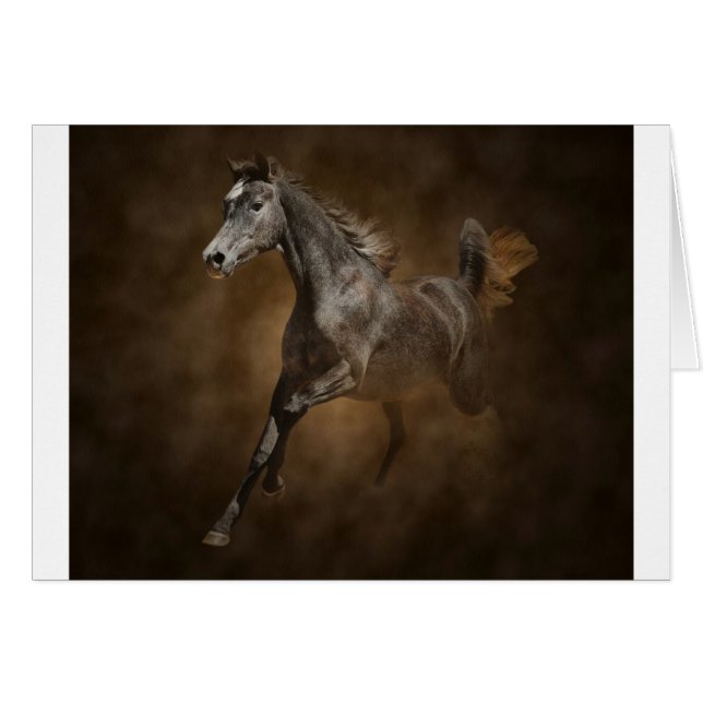 塵を通して (正面横)