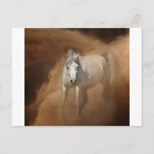 塵嵐の中を ポストカード (正面)