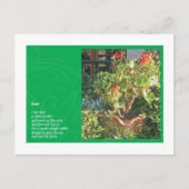 塵 ポストカード (正面)