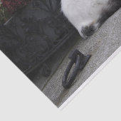 墓の上の美しい白猫 薄葉紙 (詳細)