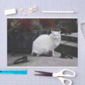 墓の上の美しい白猫 薄葉紙 (クラフト)