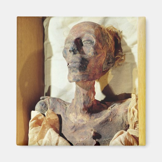 墓の中で見つかったラムセスのミイラ体 マグネット (正面)