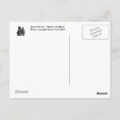 墓像はがき ポストカード (裏面)