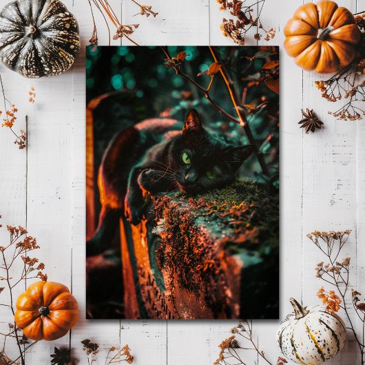 墓地にあるゴシック様式のオカルトの黒猫 ポストカード