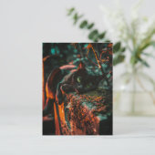 墓地にあるゴシック様式のオカルトの黒猫 ポストカード (スタンド正面)