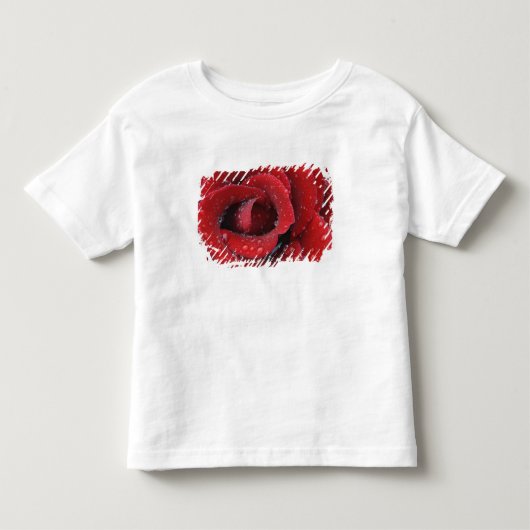 墓地に咲く露に濡れた赤いバラ トドラーTシャツ (正面)