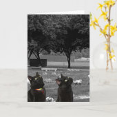 墓地のグリーティングカー空白のドに2匹の黒猫 カード (黄色い花)