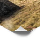 墓地のハロウィーンゴシックの少女 ポスター (コーナー)