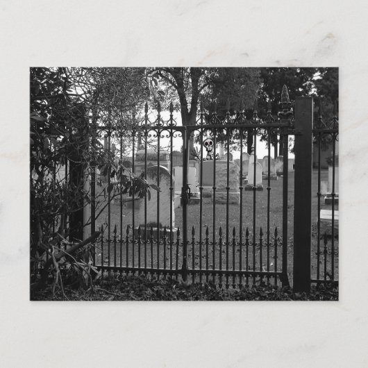 墓地の挨拶！ – ポストカード#1 ポストカード (正面)