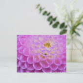 墓地の菊の花 ポストカード (スタンド正面)
