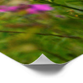 墓地の近くのフロックス ポスター (角)