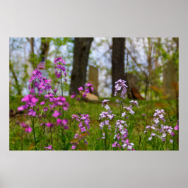 墓地の近くのフロックス ポスター