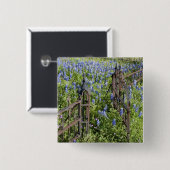 墓地の門を取り囲むブルーボンネットとフロックス 缶バッジ (正面&裏面)