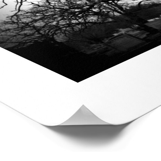 墓地の黒と白の木 ポスター (角)