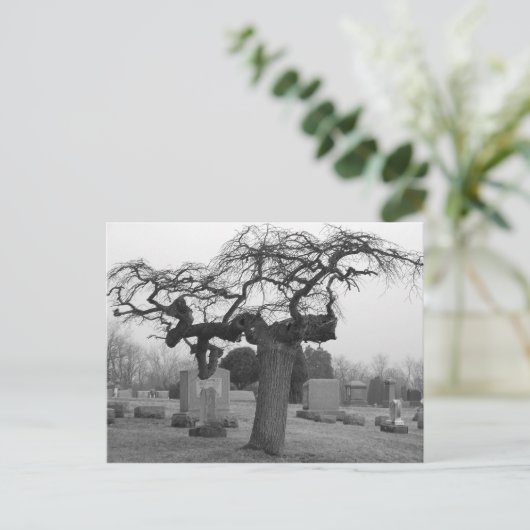 墓地はがき ポストカード (スタンド正面)