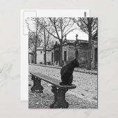 墓地キャットヴィンテージ撮影はがき ポストカード (正面/裏面)