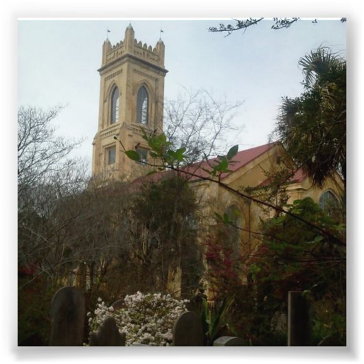 墓地フォトプリント フォトプリント            (正面)