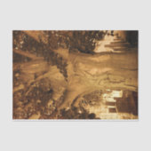 墓地ヴィンテージアンティークセピアツリーシートミュージック 薄葉紙 (正面)