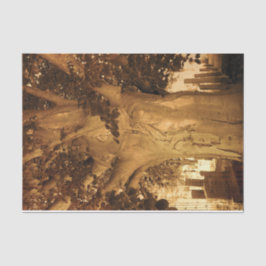 墓地ヴィンテージアンティークセピアツリーシートミュージック 薄葉紙