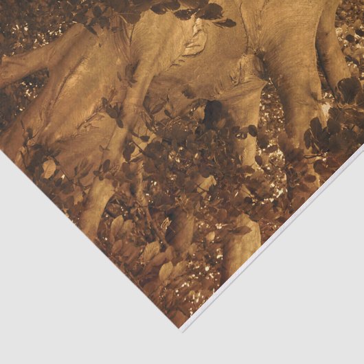 墓地ヴィンテージアンティークセピアツリーシートミュージック 薄葉紙 (詳細)