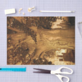 墓地ヴィンテージアンティークセピアツリーシートミュージック 薄葉紙 (クラフト)