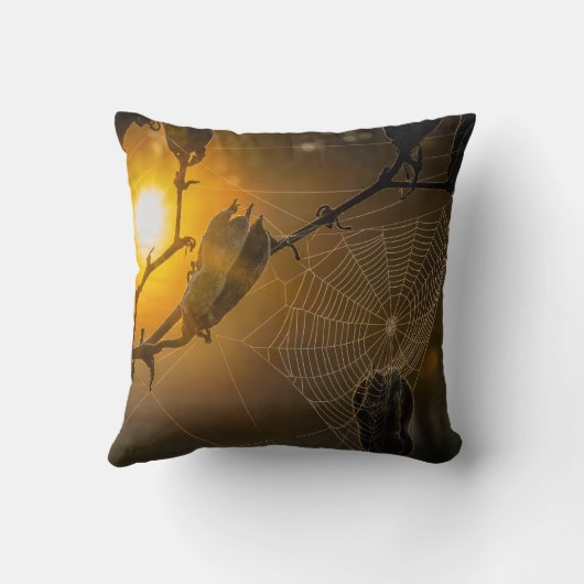 墓地幽霊のよく出る枕のクモの巣 クッション (裏面)