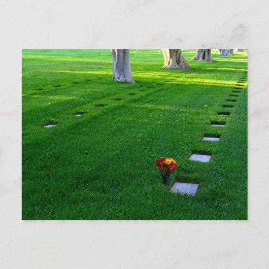 墓地 ポストカード (正面)