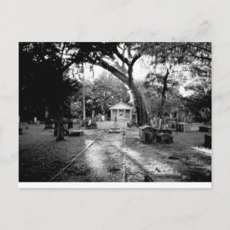 墓地 ポストカード