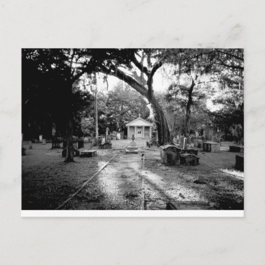 墓地 ポストカード (正面)