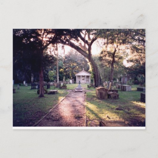墓地 ポストカード (正面)