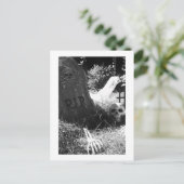 墓地 ポストカード (スタンド正面)