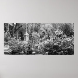 墓地， Savannah Ga, MD写真 ポスター