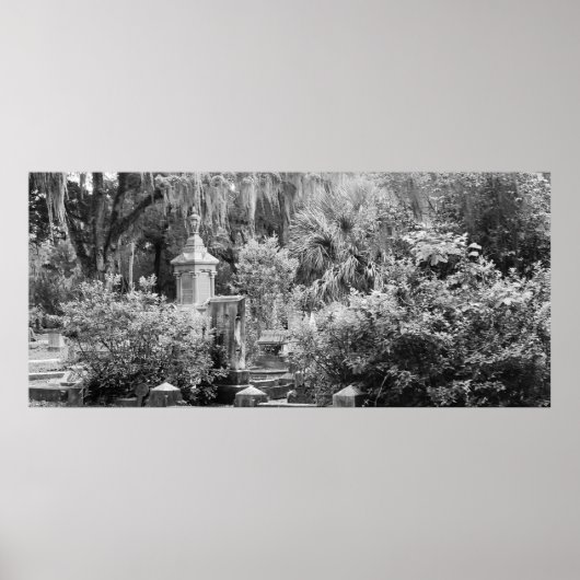 墓地， Savannah Ga, MD写真 ポスター (正面)