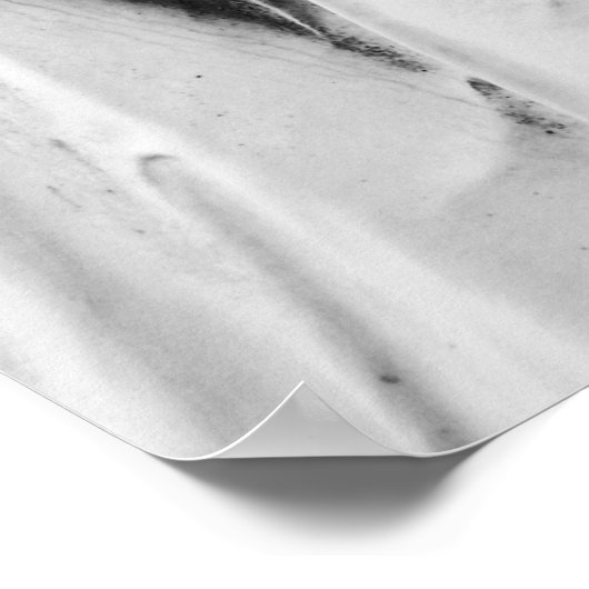 墓地B&Wカラーバラ ポスター (角)