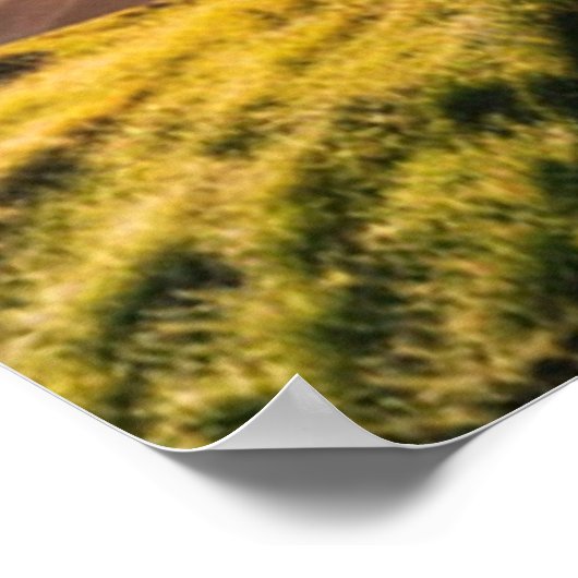 墓場のポスターから上に ポスター (角)