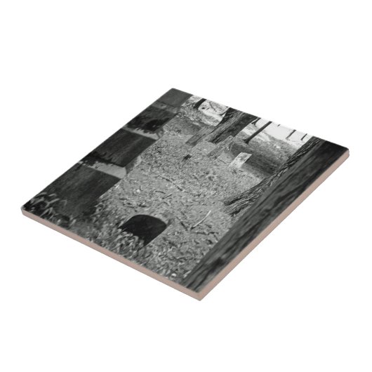 墓忘れ タイル (側面)