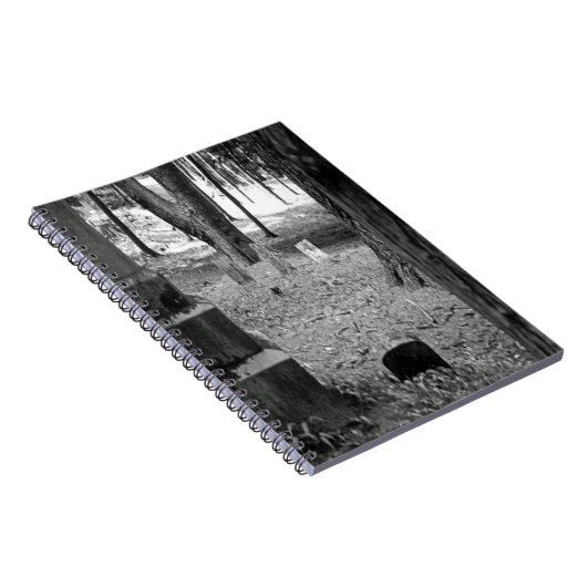 墓忘れ ノートブック (右側)