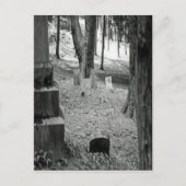 墓忘れ ポストカード (正面)