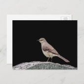墓石の上に鳥を置く ポストカード (正面/裏面)